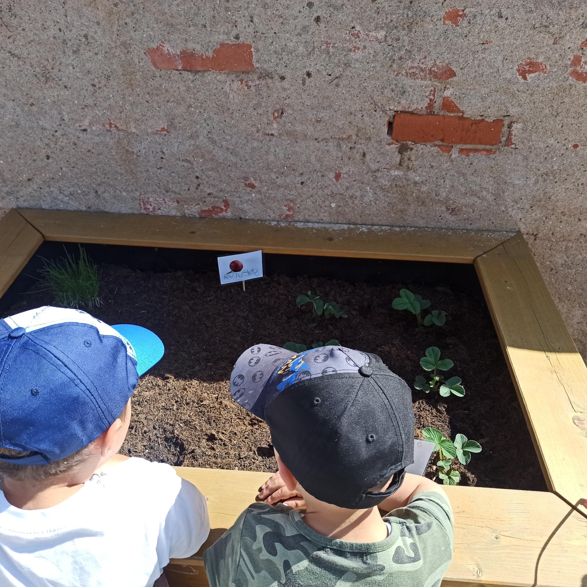 Garten-Werkstatt