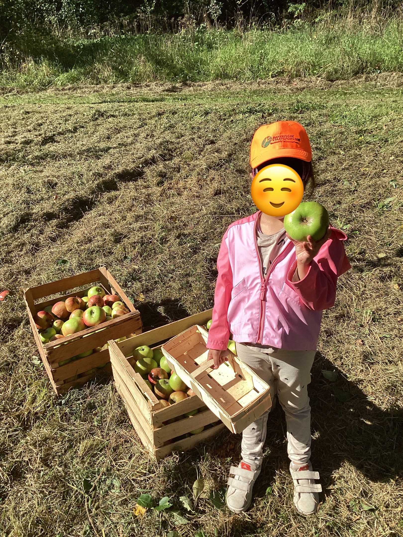 Äpfel