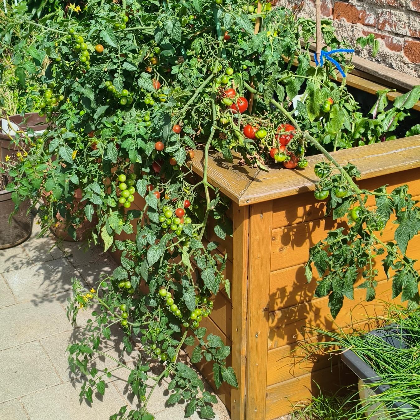 Garten