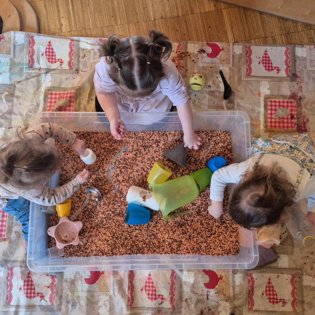 Linsen-Sensorikwanne