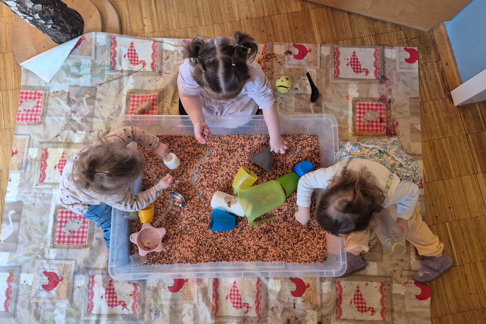 Linsen-Sensorikwanne