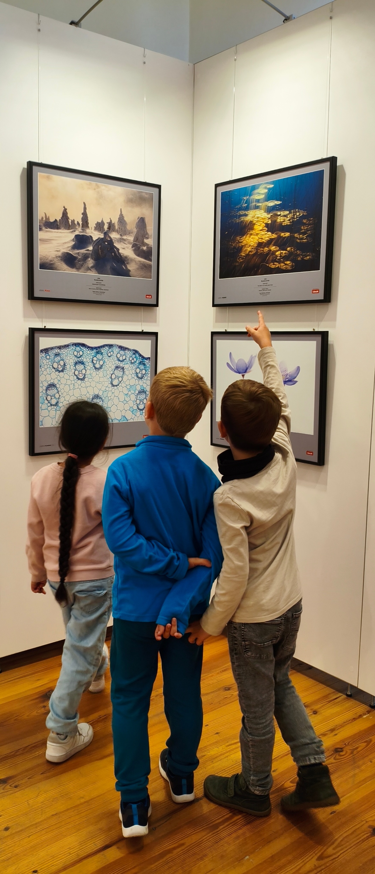 Museum