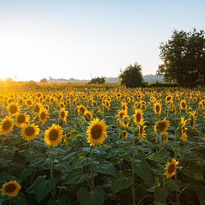 Schöne Sommerferien!